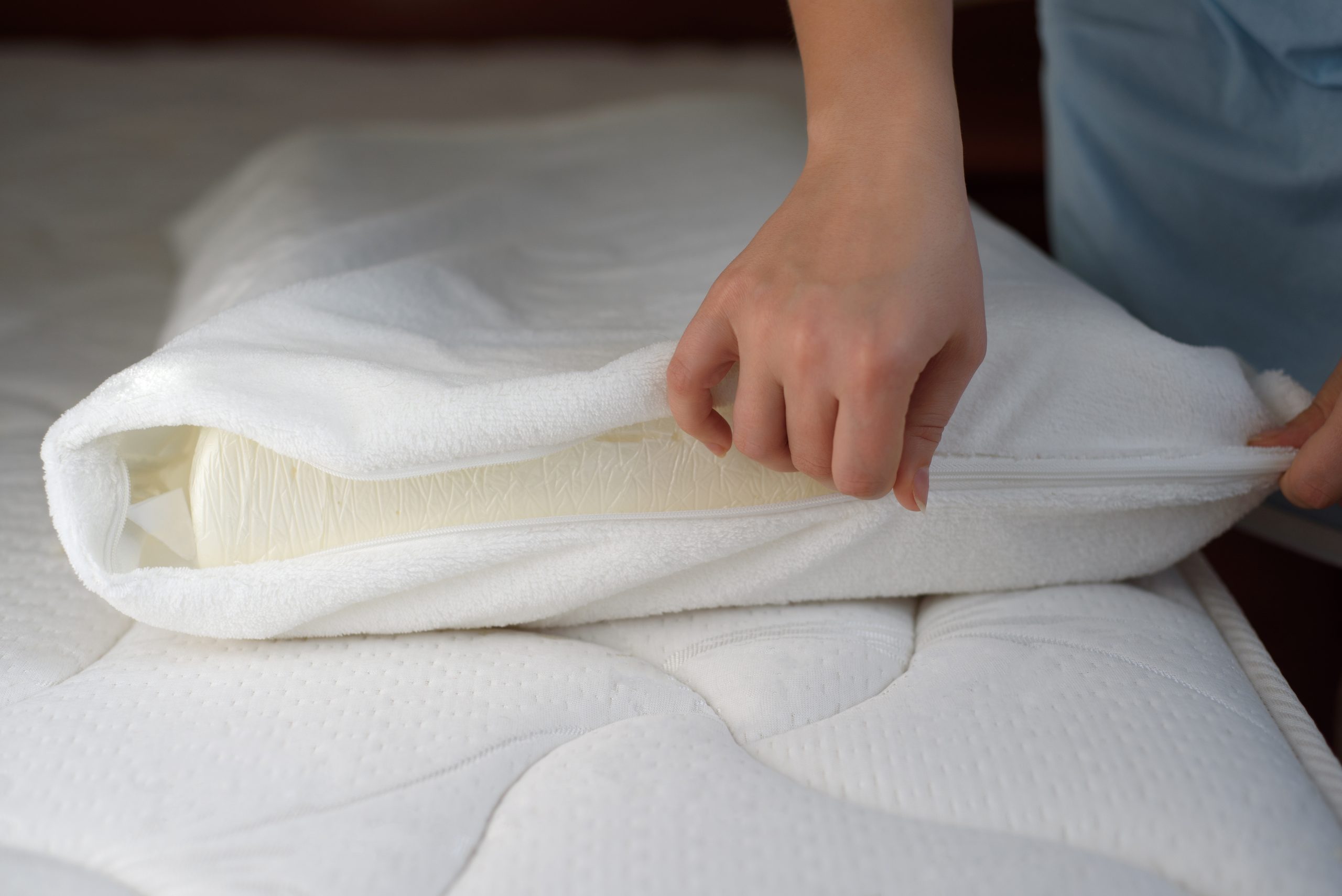 faq - birch - How does heat treatment for bed bugs work?