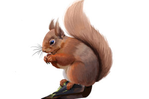 Red Squirrels Pest Identification Image